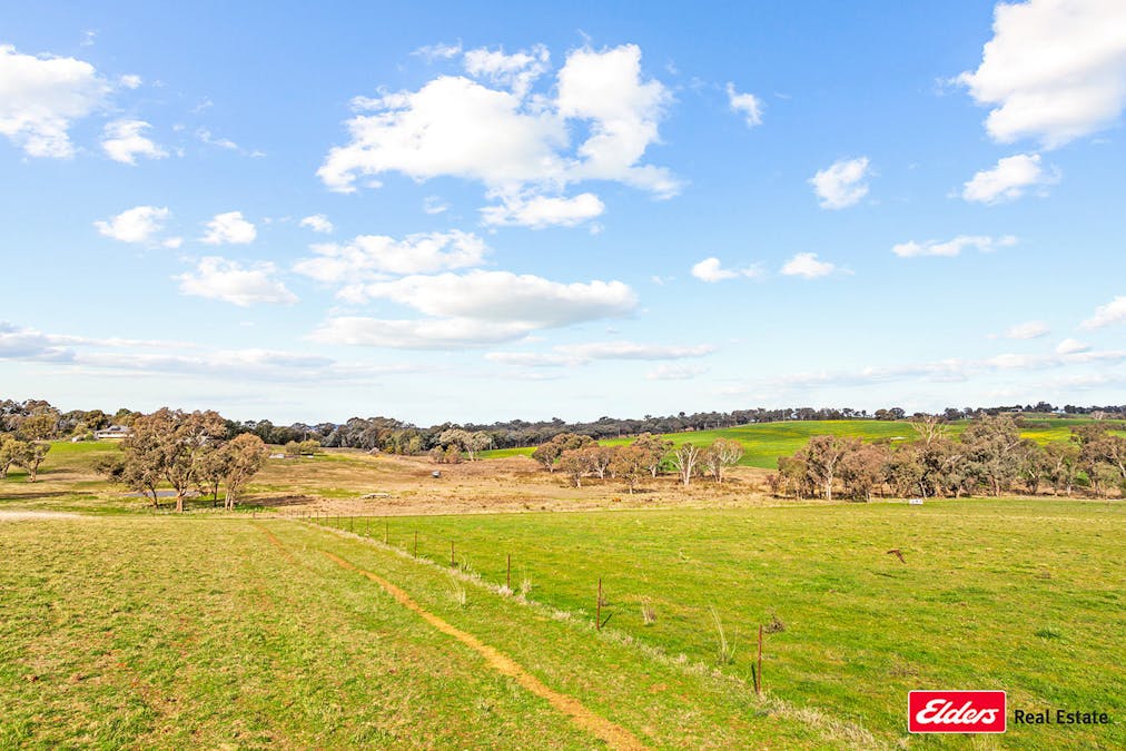 635 Monteagle Stock Route East Road, Young, NSW, 2594 - Image 34