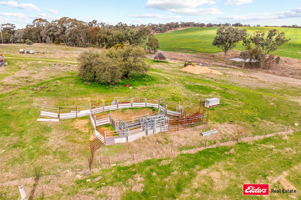635 Monteagle Stock Route East Road, Young, NSW, 2594 - Image 33
