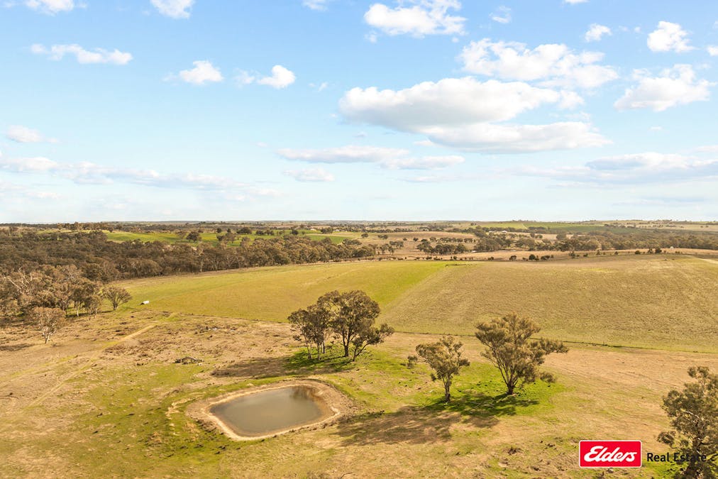 635 Monteagle Stock Route East Road, Young, NSW, 2594 - Image 35