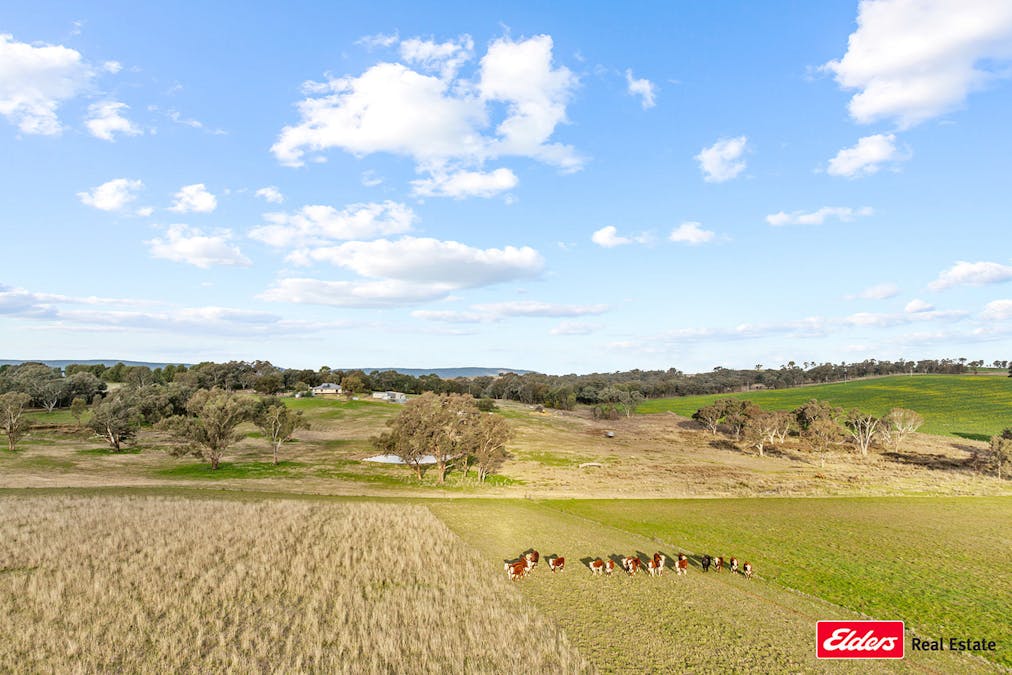 635 Monteagle Stock Route East Road, Young, NSW, 2594 - Image 3