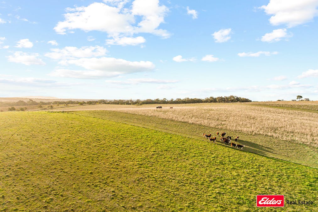 635 Monteagle Stock Route East Road, Young, NSW, 2594 - Image 4