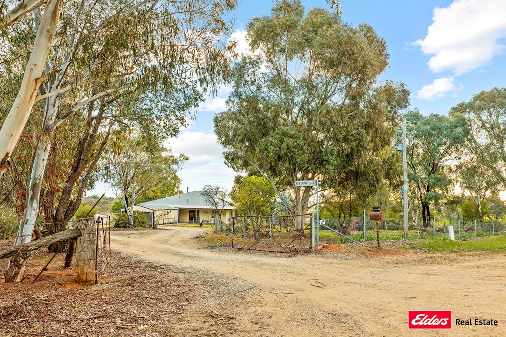 635 Monteagle Stock Route East Road, Young, NSW, 2594 - Image 6