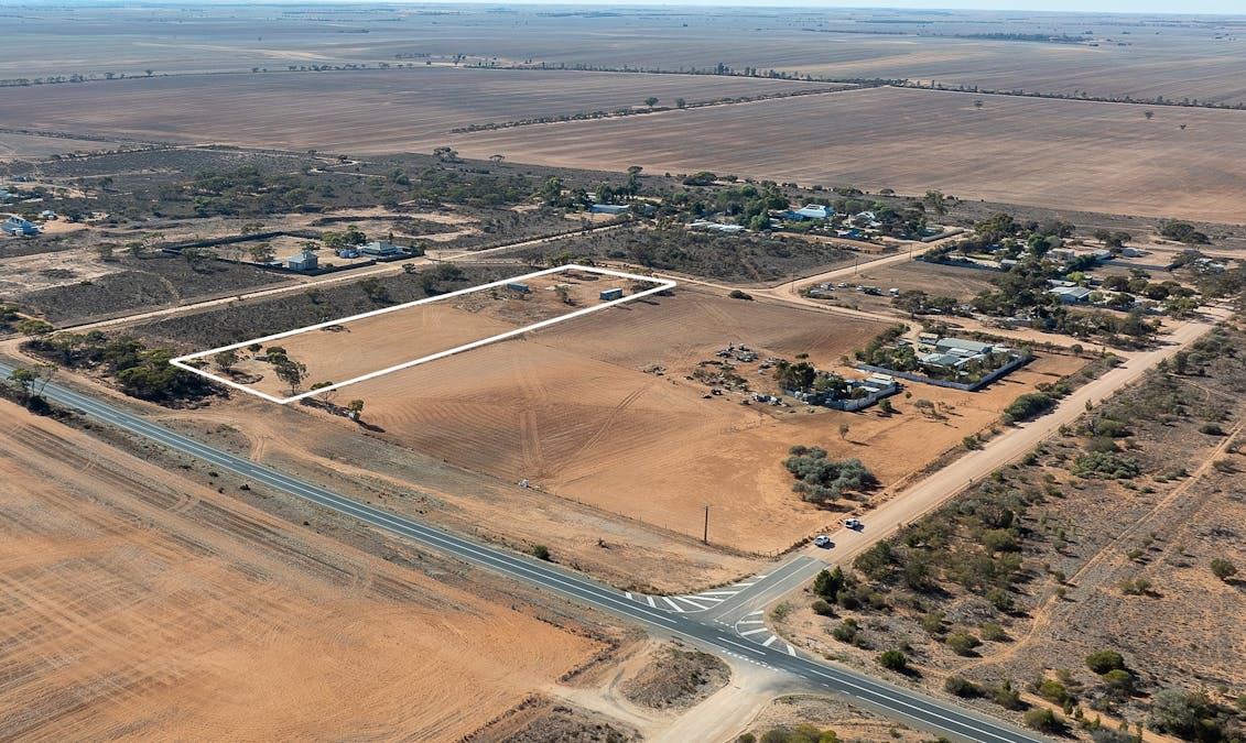 161 Alawoona Road, Loxton, SA, 5333 - Image 1