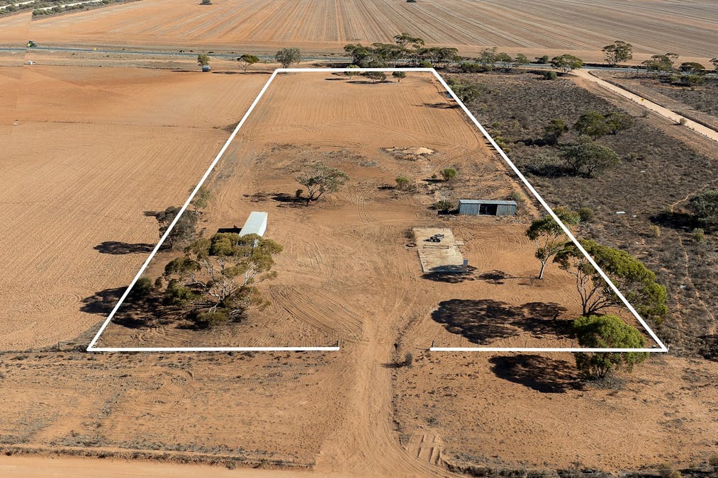 161 Alawoona Road, Loxton, SA, 5333 - Image 3