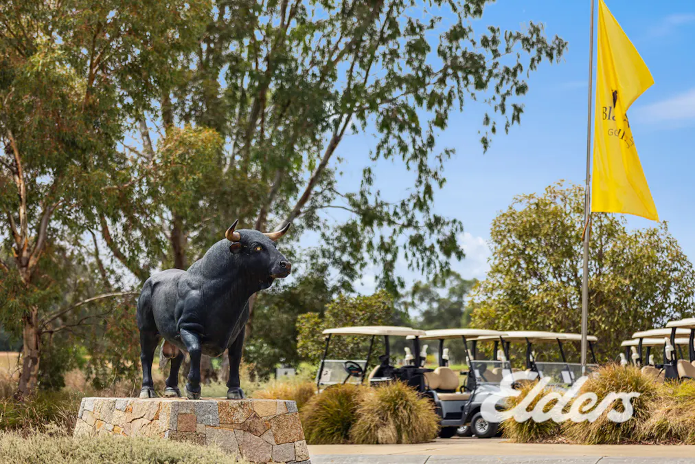 8 Silverwoods Boulevard, Yarrawonga, VIC, 3730 - Image 5