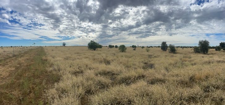 2596 Saltern Creek Road, Barcaldine, QLD, 4725 - Image 1