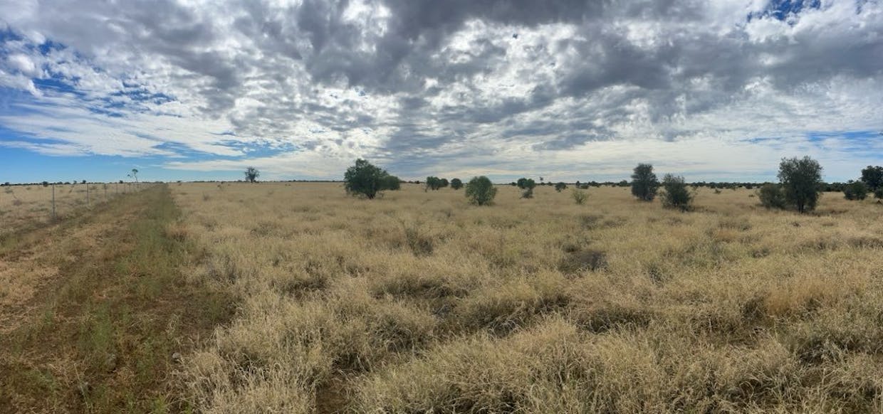 2596 Saltern Creek Road, Barcaldine, QLD, 4725 - Image 1