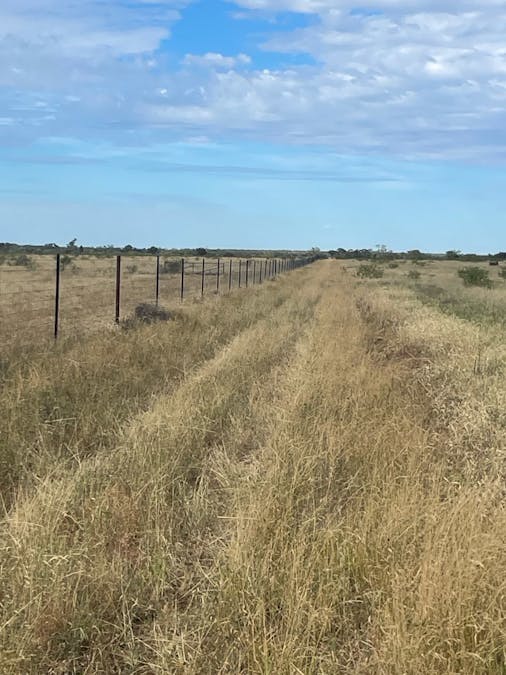 2596 Saltern Creek Road, Barcaldine, QLD, 4725 - Image 2