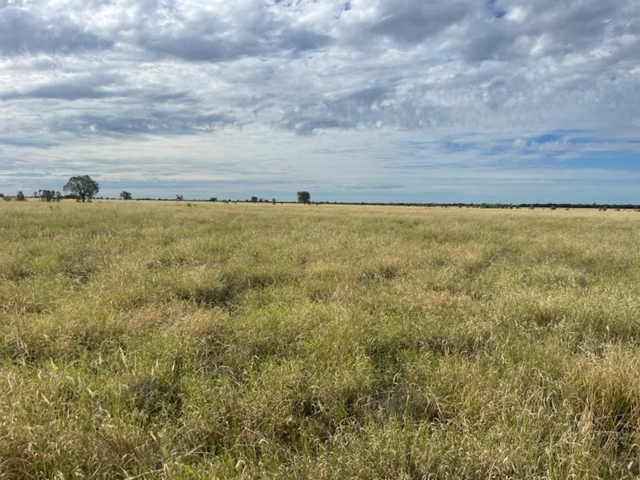 2596 Saltern Creek Road, Barcaldine, QLD, 4725 - Image 4