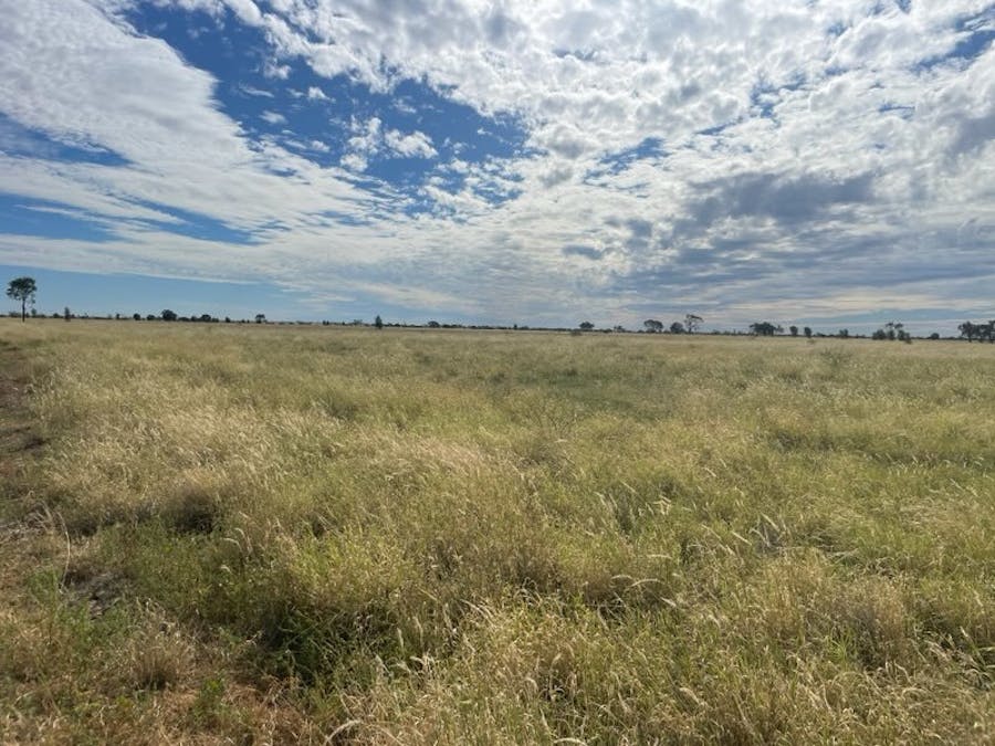 2596 Saltern Creek Road, Barcaldine, QLD, 4725 - Image 6