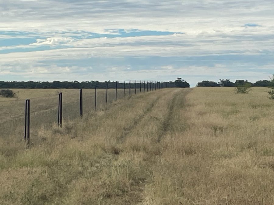 2596 Saltern Creek Road, Barcaldine, QLD, 4725 - Image 9