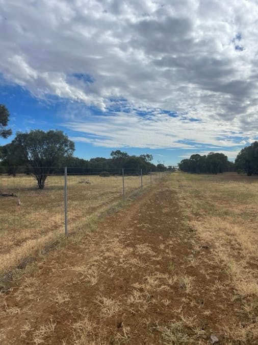 2596 Saltern Creek Road, Barcaldine, QLD, 4725 - Image 11