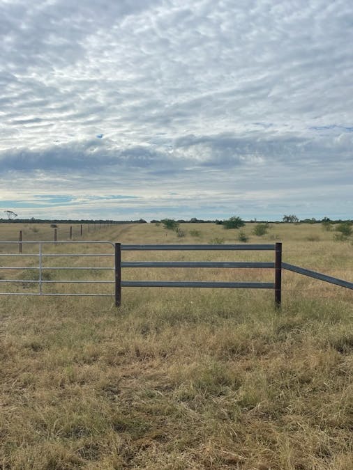 2596 Saltern Creek Road, Barcaldine, QLD, 4725 - Image 12