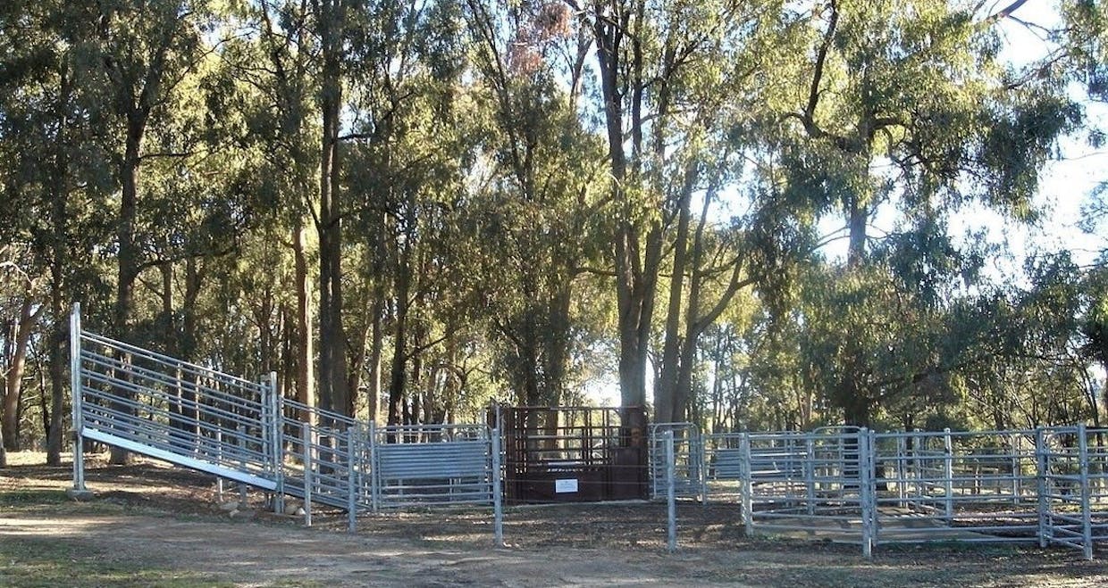 277 McLeans Lane, Ruffy, VIC, 3666 - Image 8