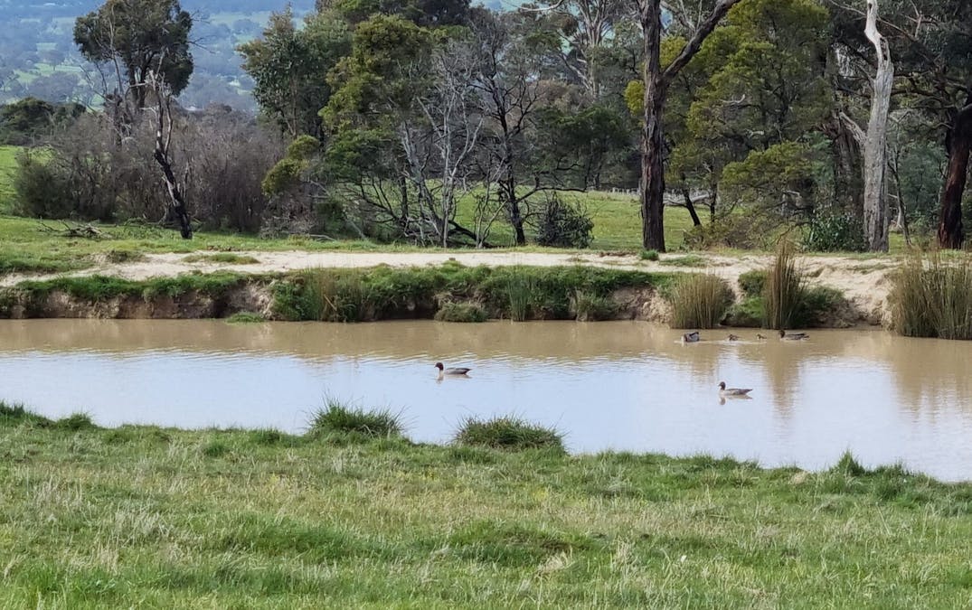 277 McLeans Lane, Ruffy, VIC, 3666 - Image 9