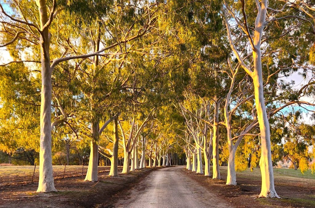 277 McLeans Lane, Ruffy, VIC, 3666 - Image 2