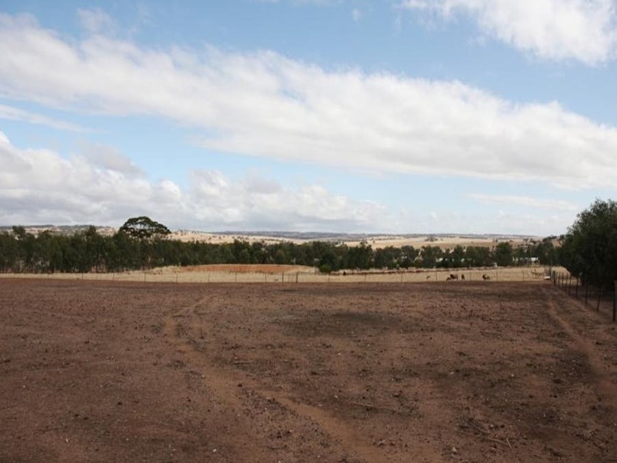 2236 Bindi Bindi - Toodyay Road, Bejoording, WA, 6566 - Image 15