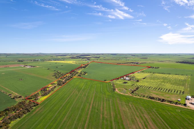 40 Burrawing Creek Road, Lipson, SA, 5607 - Image 1