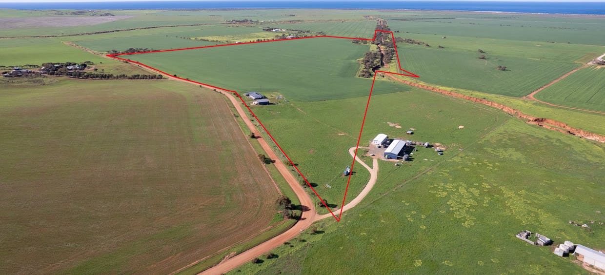 40 Burrawing Creek Road, Lipson, SA, 5607 - Image 4
