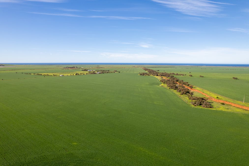 40 Burrawing Creek Road, Lipson, SA, 5607 - Image 20