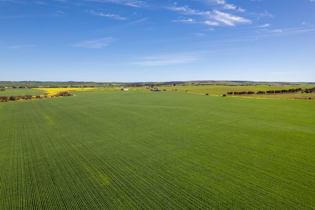 40 Burrawing Creek Road, Lipson, SA, 5607 - Image 26