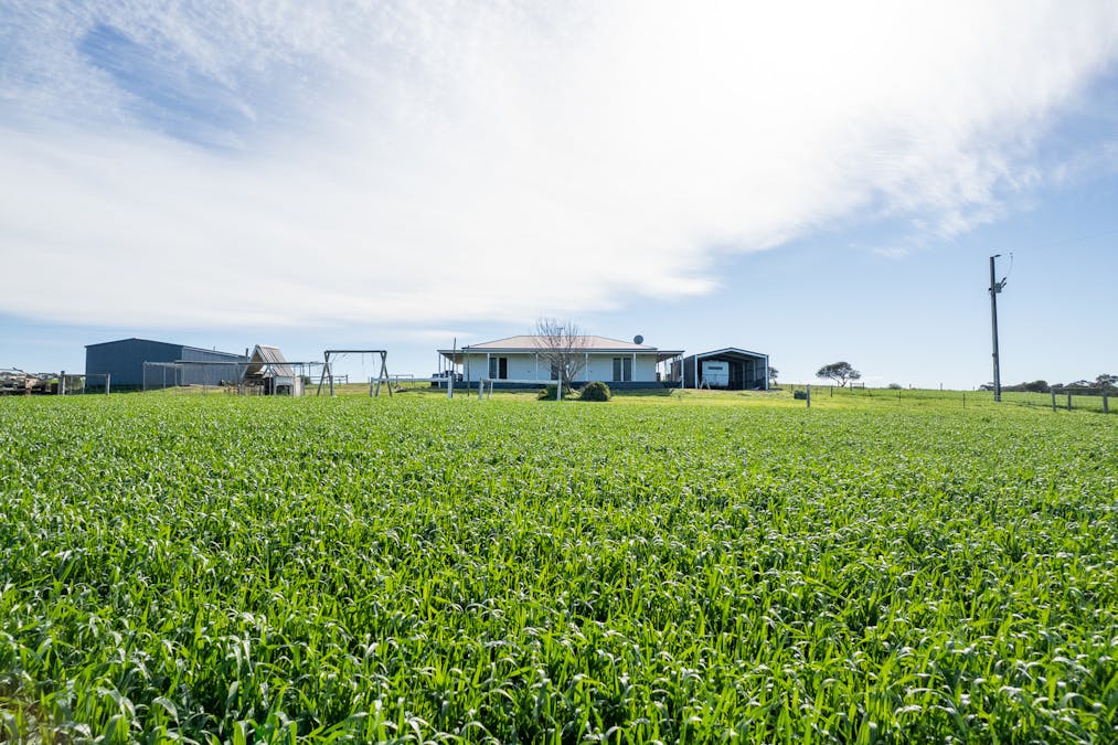40 Burrawing Creek Road, Lipson, SA, 5607 - Image 2