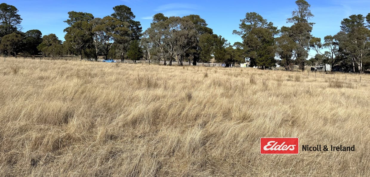 43-47 Pascoe Street, Neville, NSW, 2799 - Image 4
