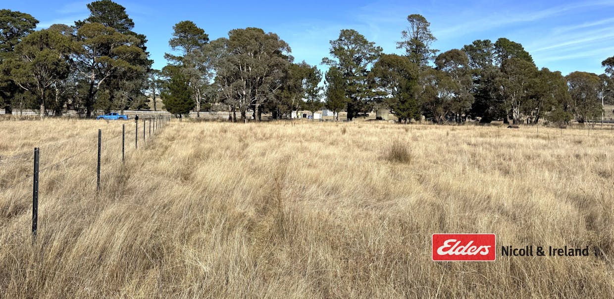 43-47 Pascoe Street, Neville, NSW, 2799 - Image 2