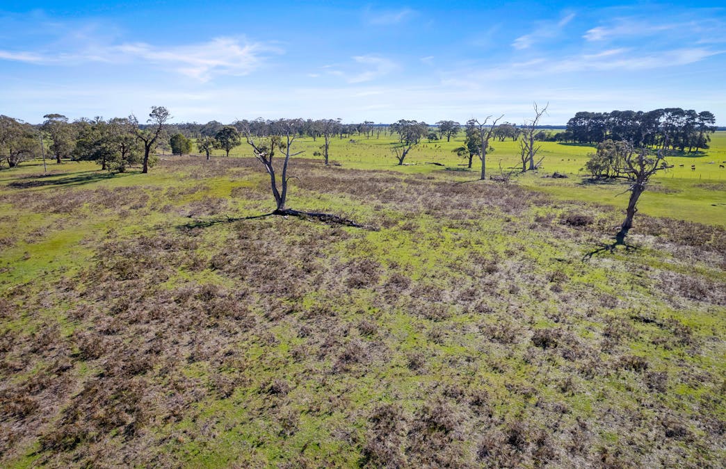 7590 Princes Highway, Mumbannar, VIC, 3304 - Image 4