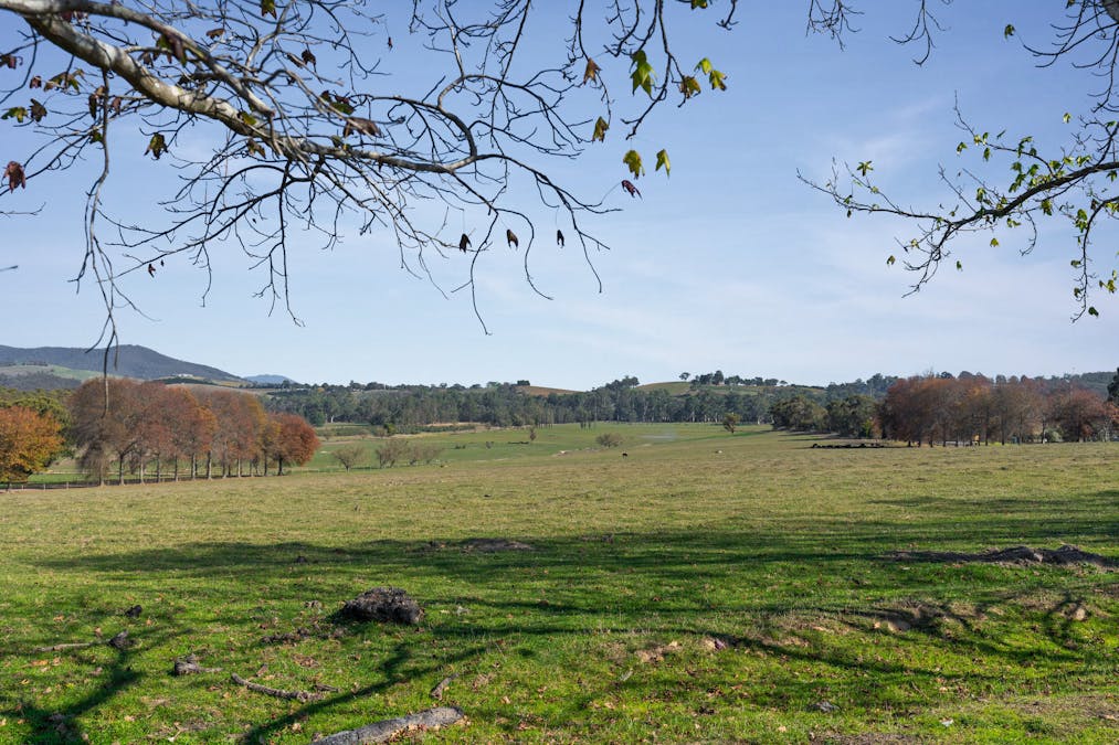 2 MAROONDAH Highway, Healesville, VIC, 3777 - Image 2