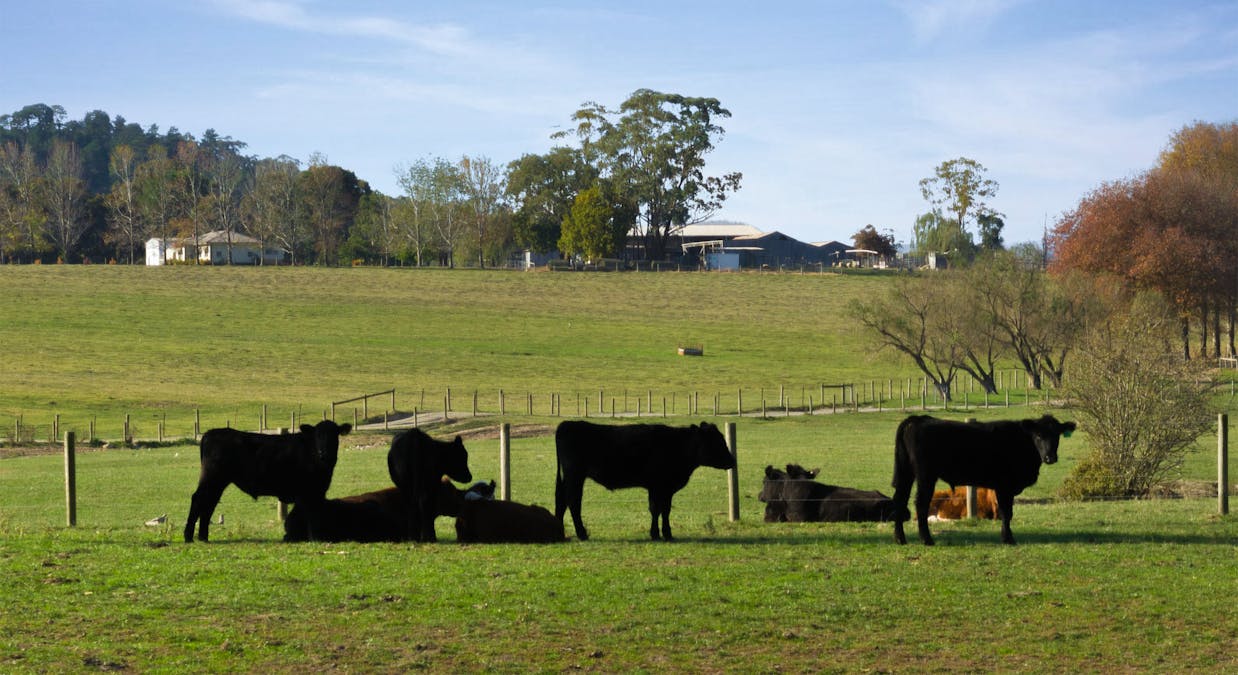 2 MAROONDAH Highway, Healesville, VIC, 3777 - Image 7