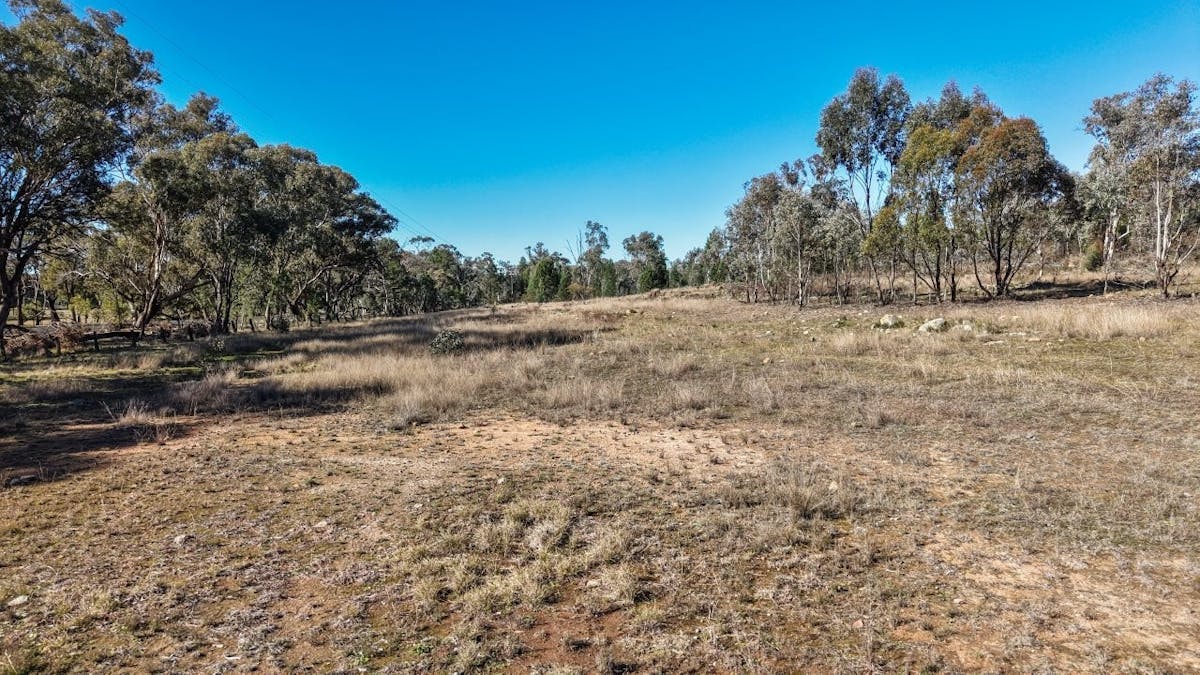 4744 Obley Road, Obley, NSW, 2868 - Image 5