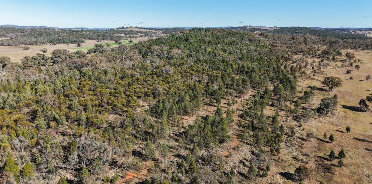4744 Obley Road, Obley, NSW, 2868 - Image 9