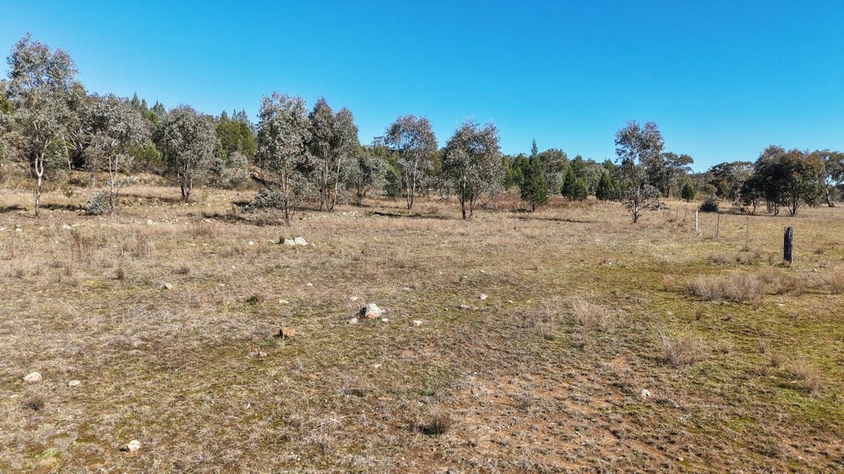 4744 Obley Road, Obley, NSW, 2868 - Image 6