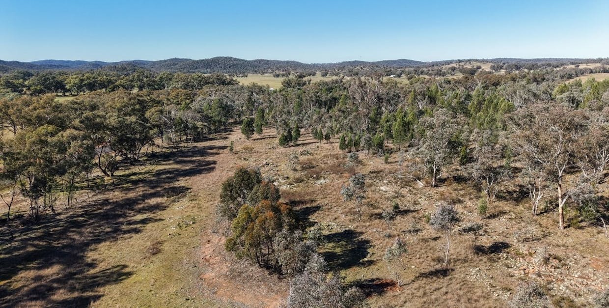 4744 Obley Road, Obley, NSW, 2868 - Image 7