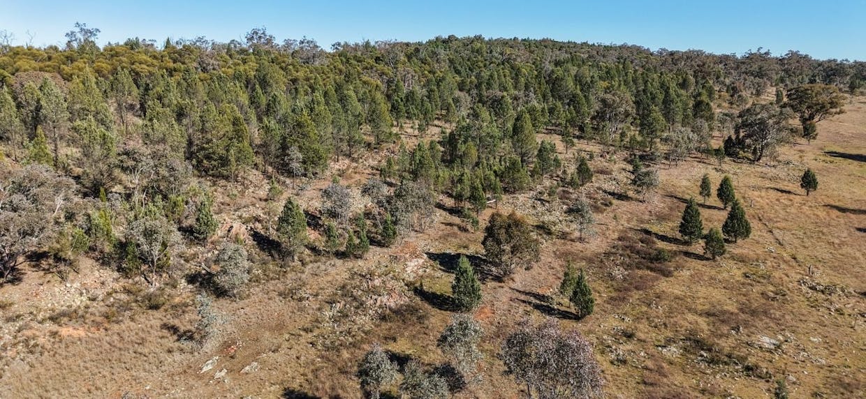 4744 Obley Road, Obley, NSW, 2868 - Image 8