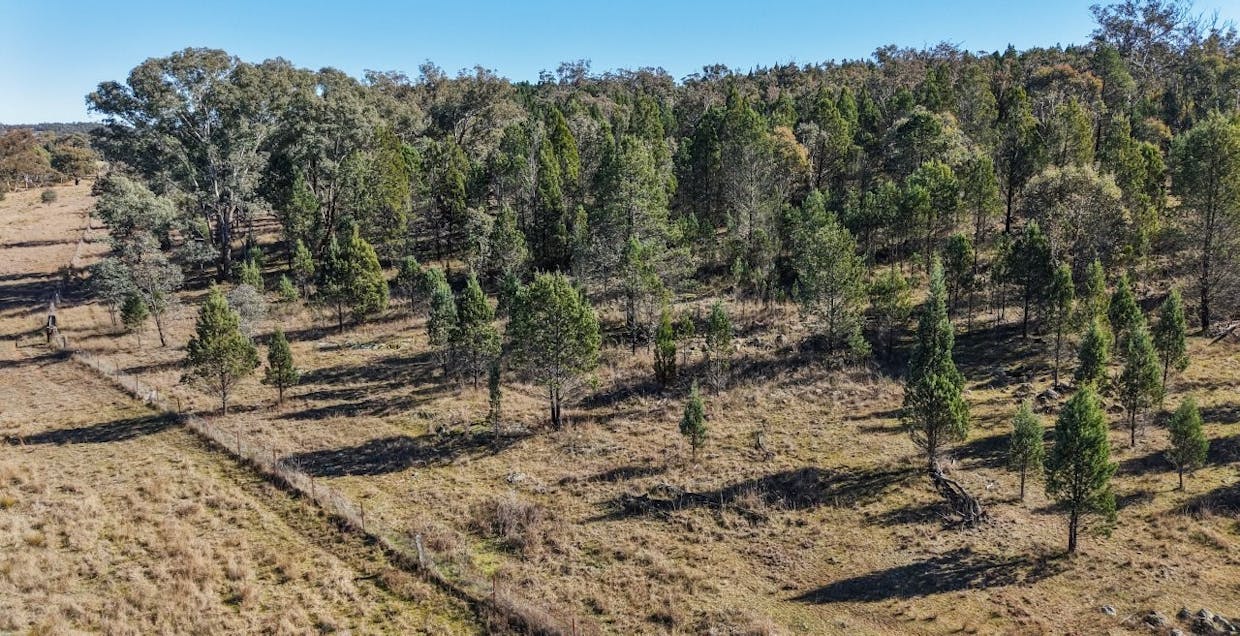 4744 Obley Road, Obley, NSW, 2868 - Image 11