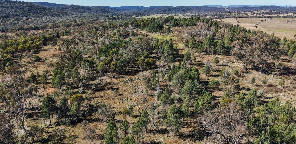 4744 Obley Road, Obley, NSW, 2868 - Image 13