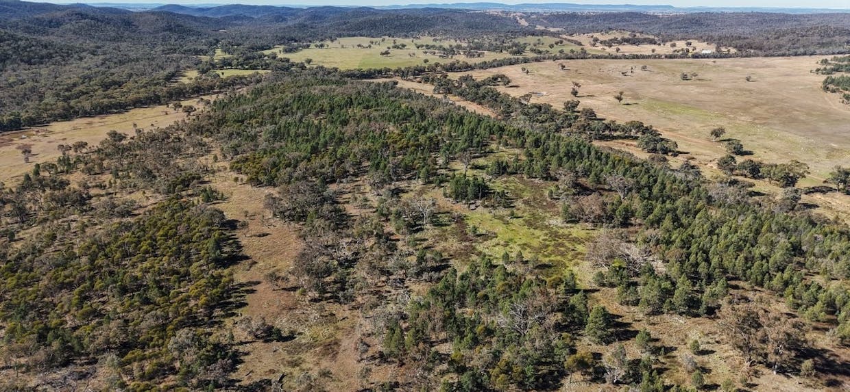 4744 Obley Road, Obley, NSW, 2868 - Image 14
