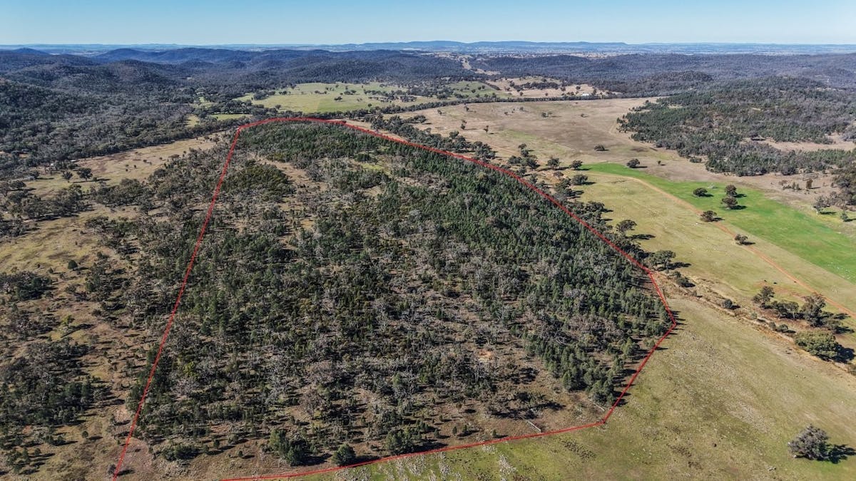 4744 Obley Road, Obley, NSW, 2868 - Image 2