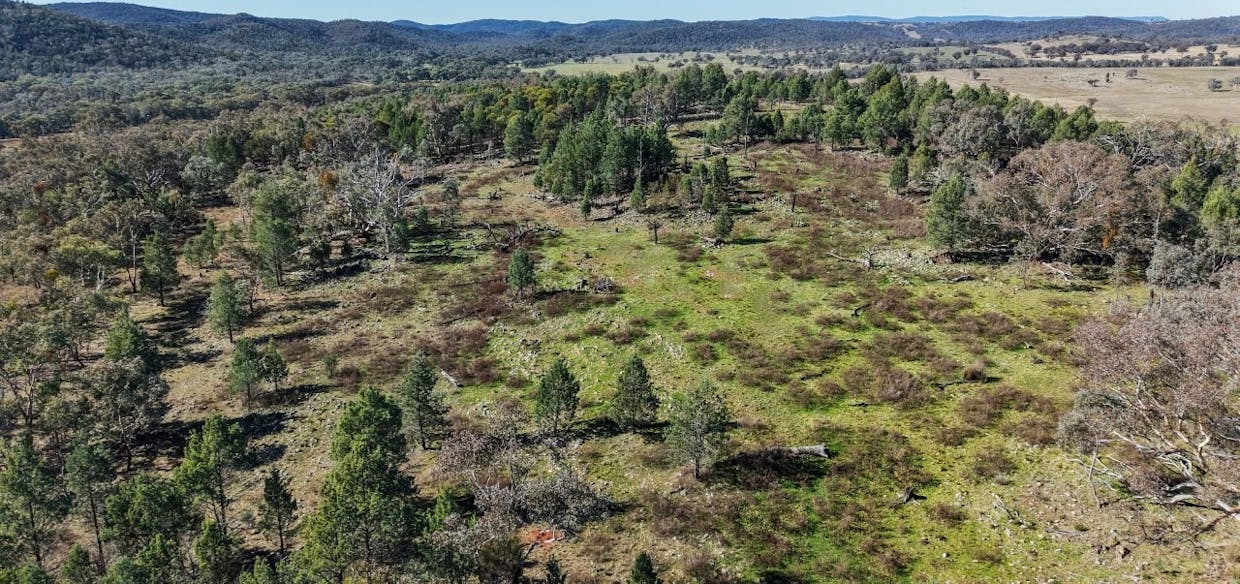 4744 Obley Road, Obley, NSW, 2868 - Image 16