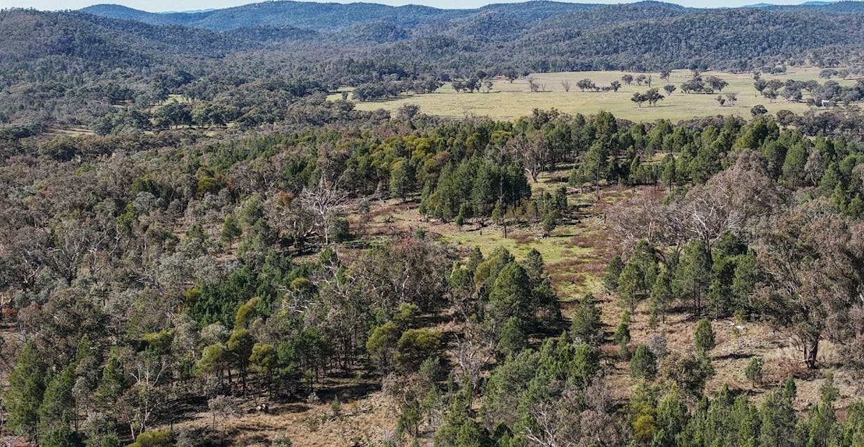 4744 Obley Road, Obley, NSW, 2868 - Image 17