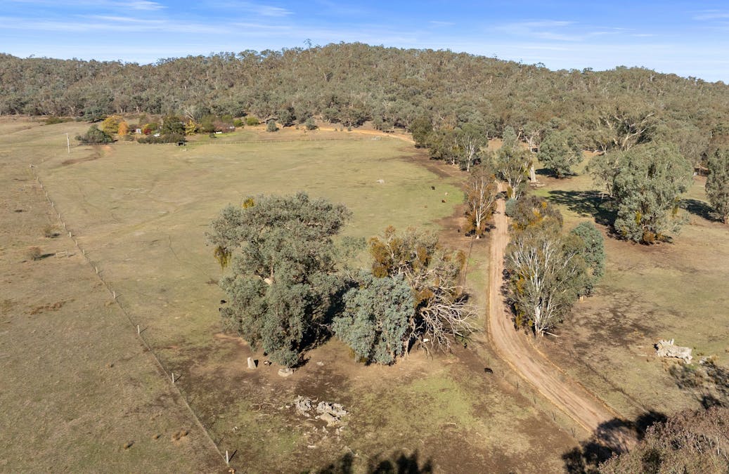 1439 Buckland Gap Road, Murmungee, VIC, 3747 - Image 32