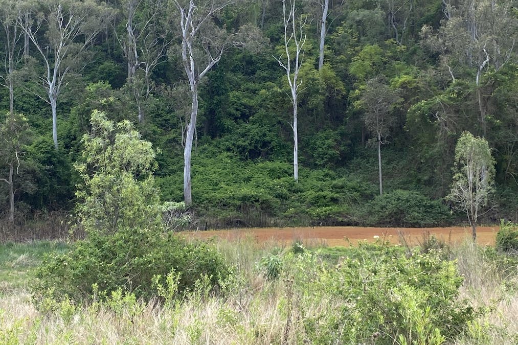 301 Greet Road, Calvert, QLD, 4340 - Image 11