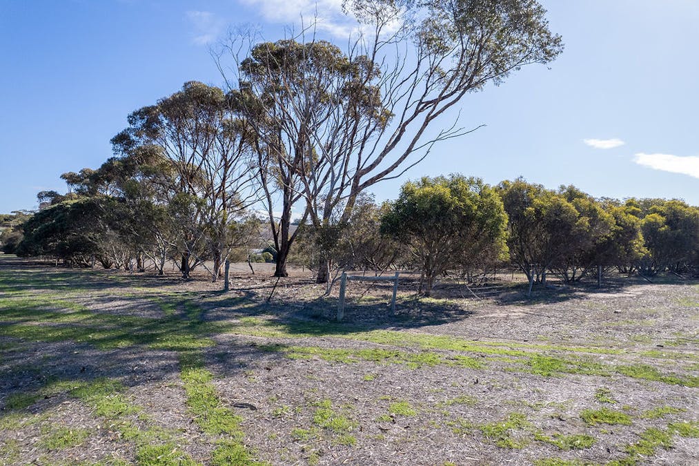 Allot 21/Chapman Road, Green Patch, SA, 5607 - Image 10
