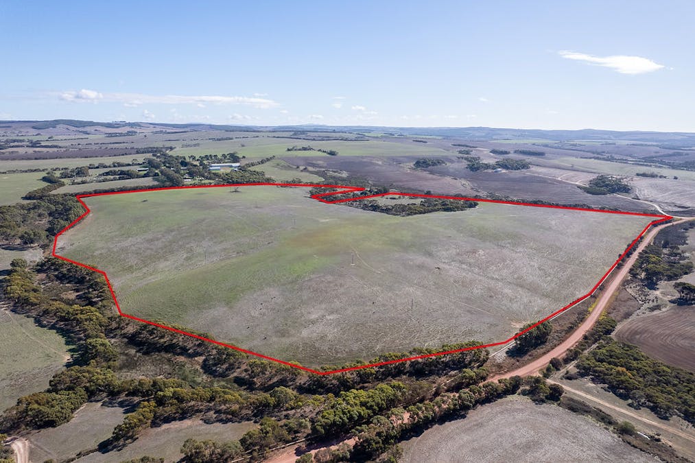 Allot 21/Chapman Road, Green Patch, SA, 5607 - Image 7