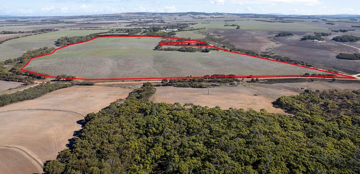 Allot 21/Chapman Road, Green Patch, SA, 5607 - Image 23