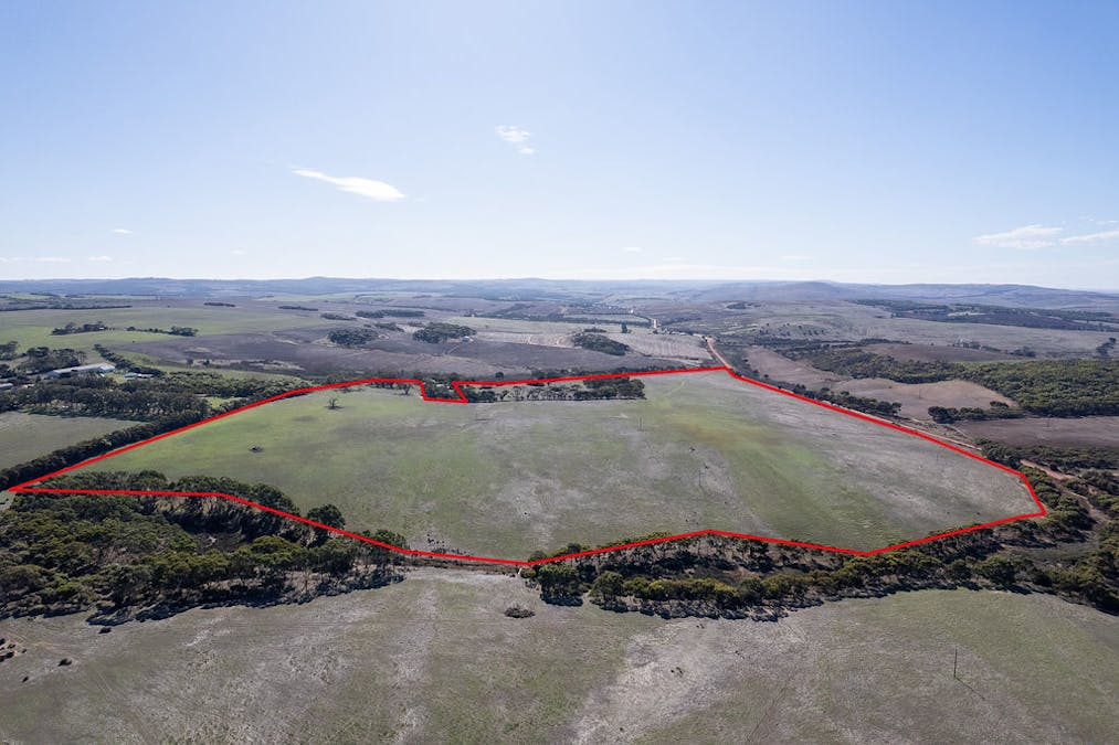 Allot 21/Chapman Road, Green Patch, SA, 5607 - Image 3