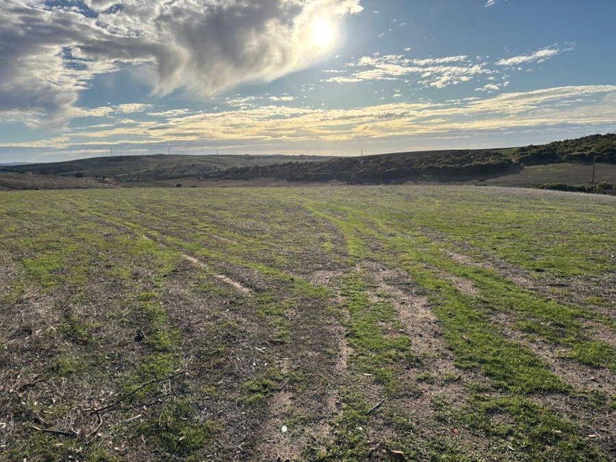 Allot 21/Chapman Road, Green Patch, SA, 5607 - Image 17