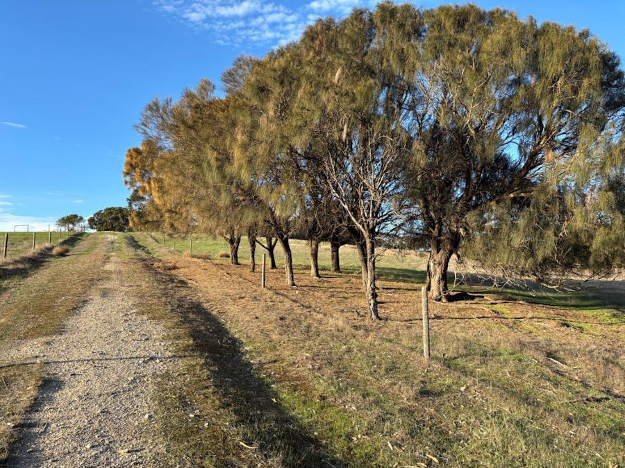 Allot 21/Chapman Road, Green Patch, SA, 5607 - Image 13